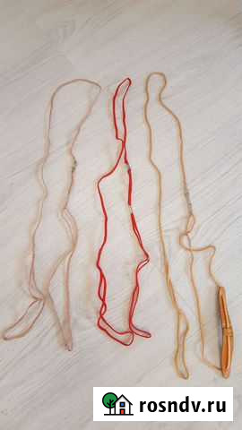 Ринговка для собак Петрозаводск - изображение 1