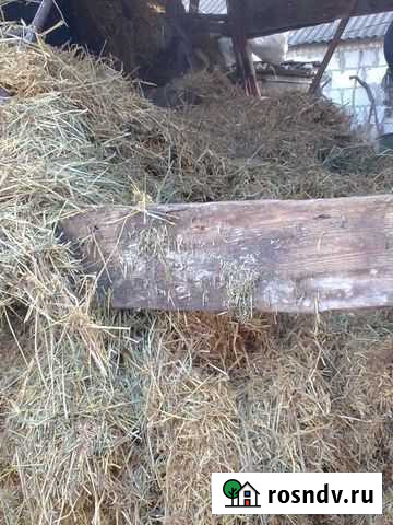 Сено солома Ивня - изображение 1