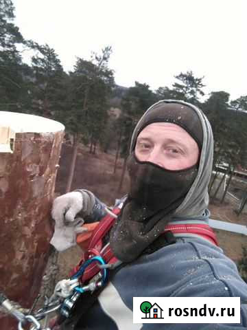 Удалить, удаление, спилить, дерево, кронирование Селятино - изображение 1