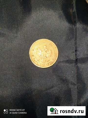 Медная монета Мичуринск - изображение 1