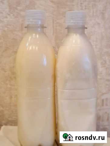 Барсучий жир от охотника Сургут - изображение 1