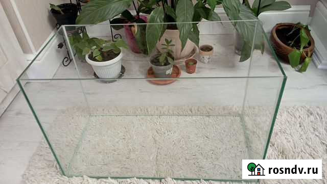 Аквариум Мурино - изображение 1