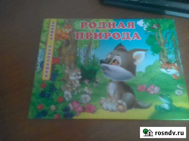 Книга Бийск - изображение 1