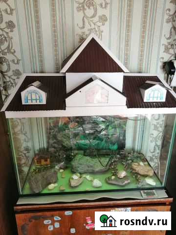 Террариум, аквариум Златоуст - изображение 1