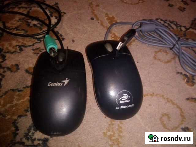 Мышка Железногорск - изображение 1