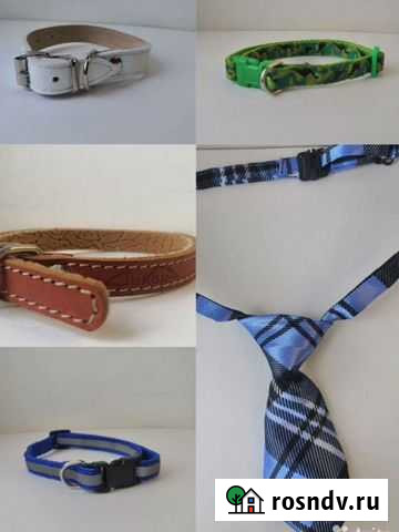 Ошейник для собак Мытищи - изображение 1