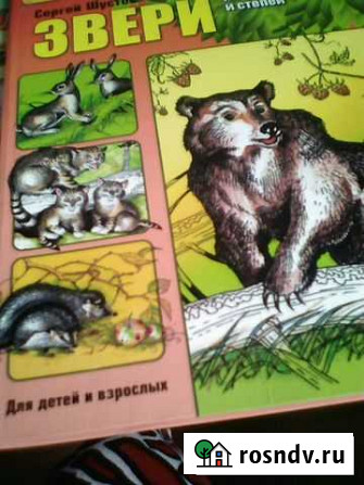 Книга,энциклопедия Великий Новгород - изображение 1