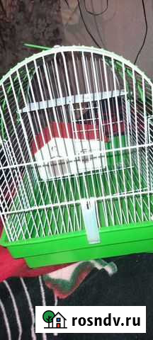 Клетка для грызунов Лабинск - изображение 1