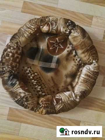 Лежанка для кошки Красноярск - изображение 1