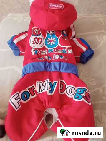 Комбинезон для маленькой собаки Новокузнецк - изображение 1