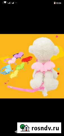 Поводок с крылышками и ошейник Самара - изображение 1