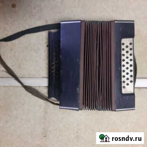 Гармонь старинная Псков - изображение 1
