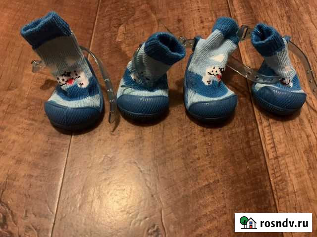 Обувь для собак Казань - изображение 1