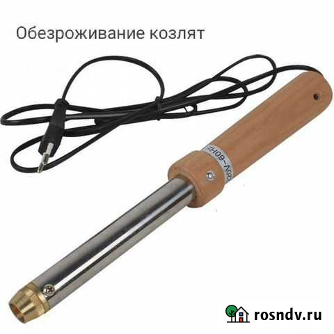 Обезроживание козлят Сасово - изображение 1