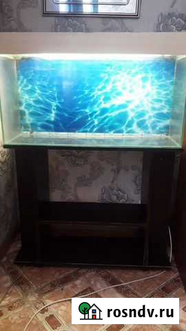 Аквариум с тумбой бу 45л Волгоград - изображение 1