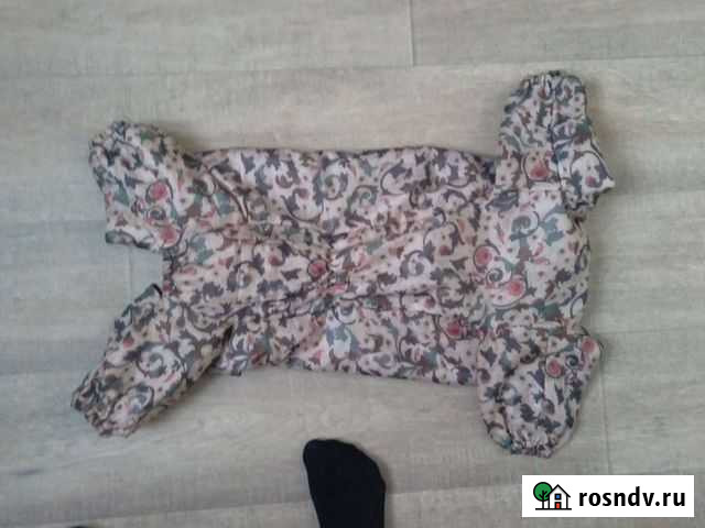 Собачий комбинезон Хабаровск - изображение 1