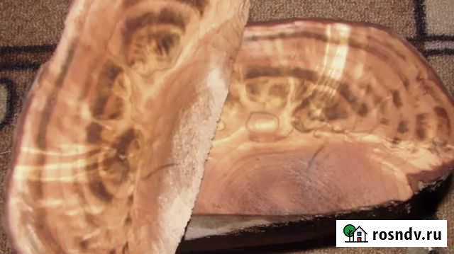 Сувель березы Ижевск - изображение 1