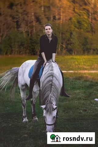 Иппотерапия, верховая езда, коррекционная педагоги Москва - изображение 1