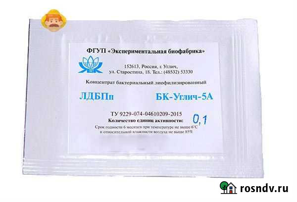 Закваска для сыра бк-Углич-5А Екатеринбург - изображение 1