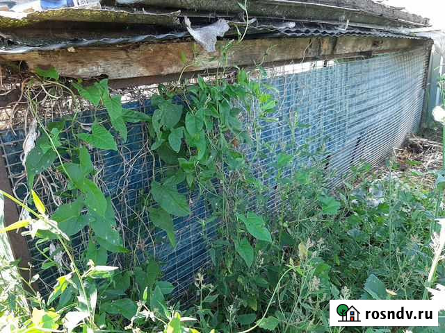 Большая клетка для птиц Дюртюли - изображение 1