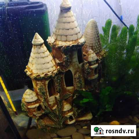 Украшение для аквариума Челябинск - изображение 1