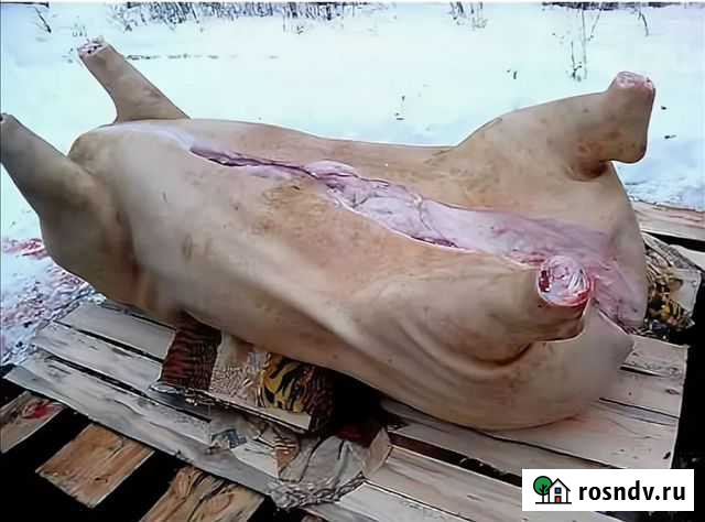 Вальщик, забой, убой скота Брянск - изображение 1