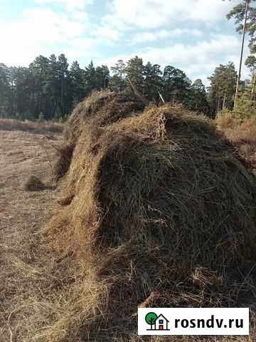 Сено Улан-Удэ - изображение 1