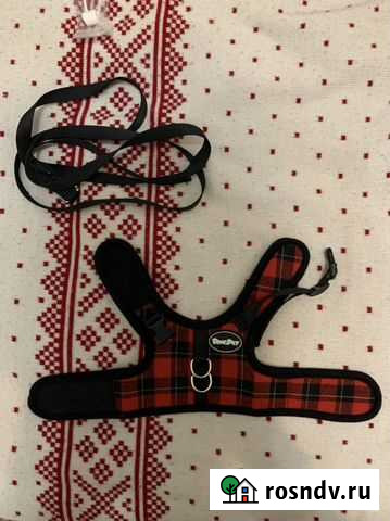 Шлейка для маленькой собаки Казань - изображение 1