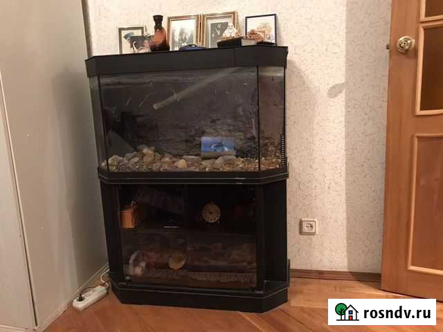 Аквариум с тумбой и принадлежностями Уфа - изображение 1