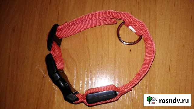 Ошейник для средней собаки Рубцовск - изображение 1