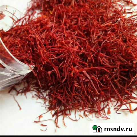 Шафран Каспийск - изображение 1