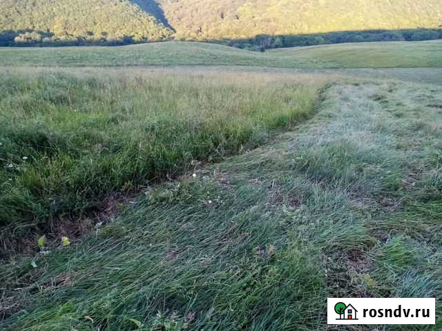 Сено Исправная - изображение 1