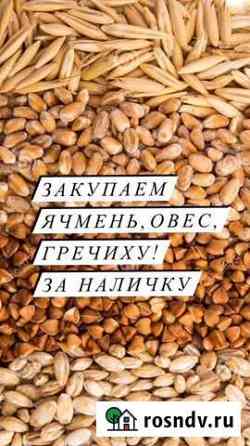 Ячмень, овес, гречиха Кузоватово