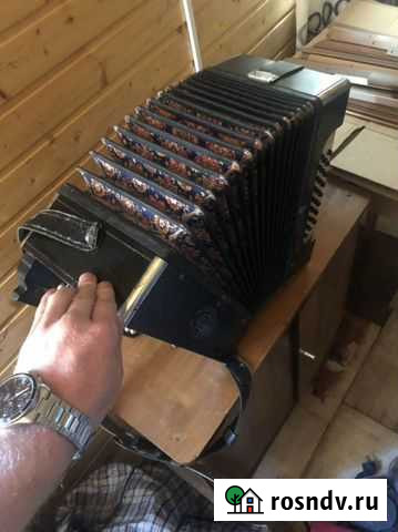 Аккордеон, гармонь, баян Петушки - изображение 1