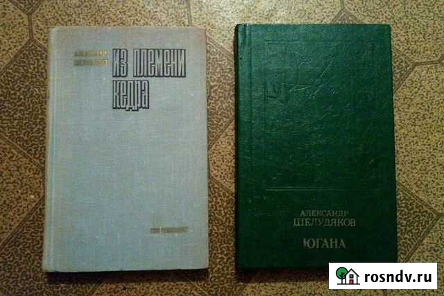 Роман Югана Шелудяков А Липецк - изображение 1