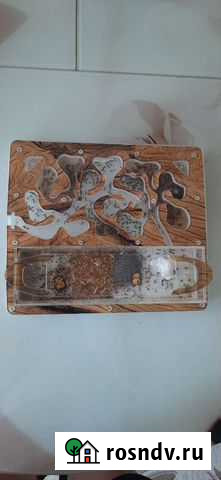 Муравьиная ферма Формикарий Каменск-Уральский - изображение 1