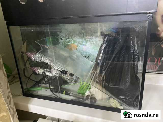 Аквариум Петропавловск-Камчатский - изображение 1