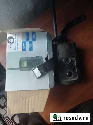 Фотолавушка Пшехская - изображение 1