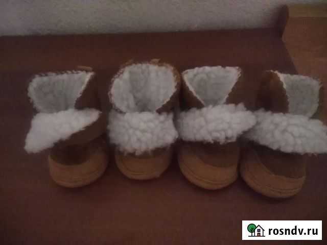 Ботиночки для собак Новокузнецк - изображение 1