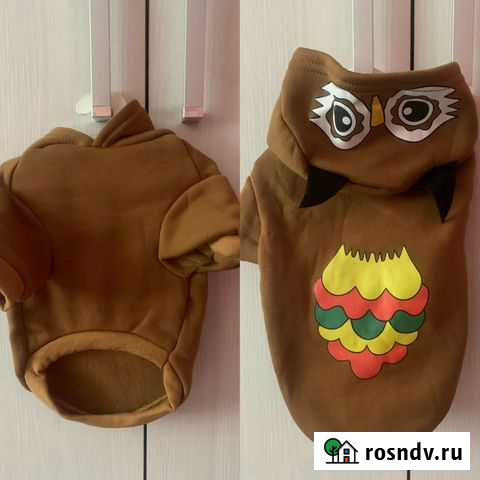 Одежда для маленьких собак Моршанск - изображение 1