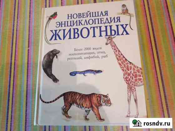 Детская энциклопедия животных Абакан