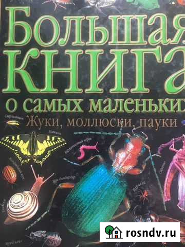 Большая энциклопедия о насекомых Северск - изображение 1