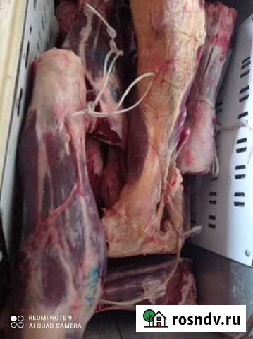 Продам мясо говядина Уфа - изображение 1