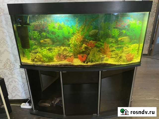 Аквариум с тумбой и фильтром Рязань - изображение 1