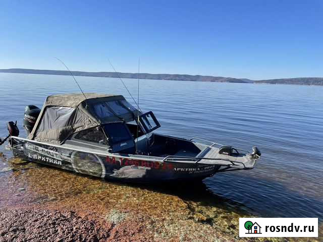 Berkut L-Arctika Красноярск - изображение 1