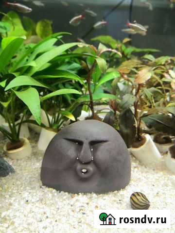 Рыба фиш Благовещенск - изображение 1