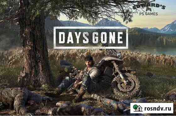 Жизнь после Days gone PS4 PS5 Сочи