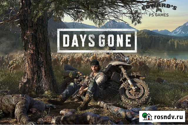 Жизнь после Days gone PS4 PS5 Сочи - изображение 1