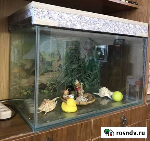 Аквариум Кемерово - изображение 1
