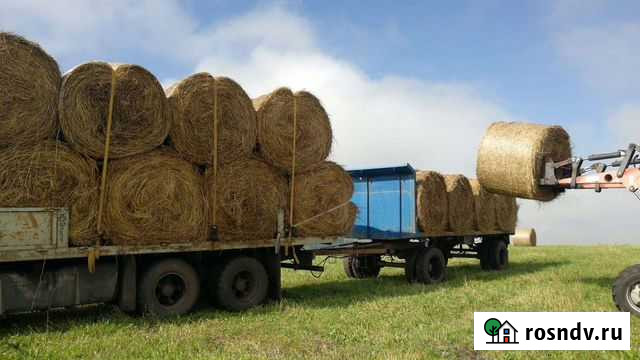 Продам сено в рулонах Горно-Алтайск - изображение 1